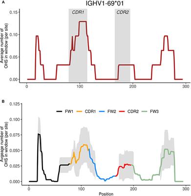 AID Overlapping and Polη Hotspots Are Key Features of Evolutionary Variation Within the Human Antibody Heavy Chain (IGHV) Genes